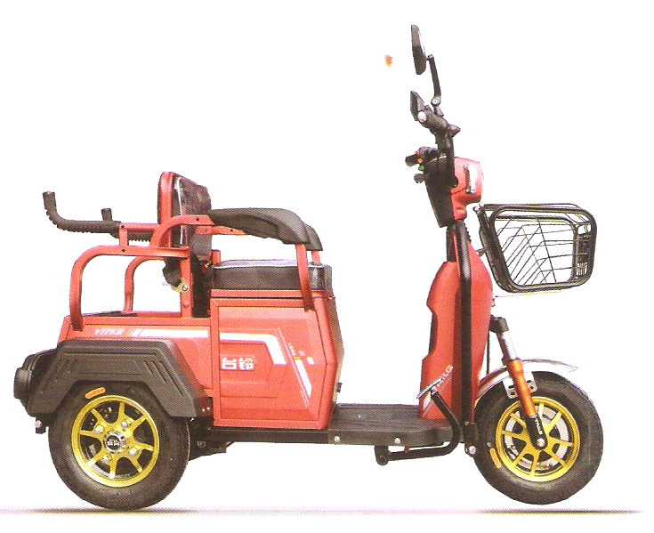 Scooter 500W Transporte de Carga/Passageiro